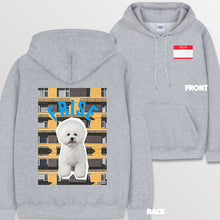 이미지를 갤러리 뷰어에 로드 , spogray