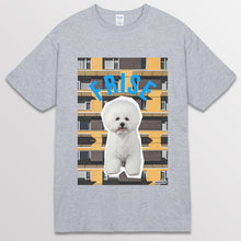 이미지를 갤러리 뷰어에 로드 , spogray