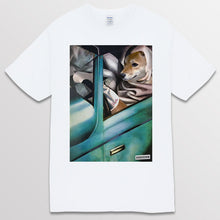 이미지를 갤러리 뷰어에 로드 , white