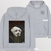 이미지를 갤러리 뷰어에 로드 , spogray