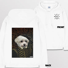 이미지를 갤러리 뷰어에 로드 , white