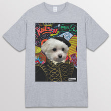 이미지를 갤러리 뷰어에 로드 , spogray