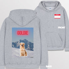 이미지를 갤러리 뷰어에 로드 , spogray