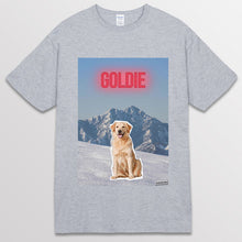 이미지를 갤러리 뷰어에 로드 , spogray