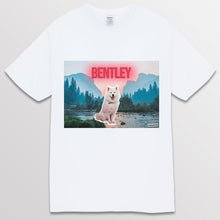 이미지를 갤러리 뷰어에 로드 , white