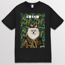 이미지를 갤러리 뷰어에 로드 , black