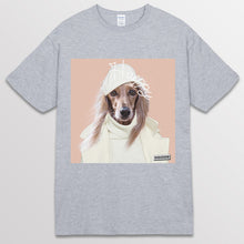 이미지를 갤러리 뷰어에 로드 , spogray