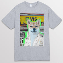 이미지를 갤러리 뷰어에 로드 , spogray