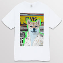 이미지를 갤러리 뷰어에 로드 , white