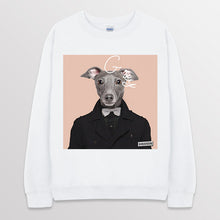 이미지를 갤러리 뷰어에 로드 , white