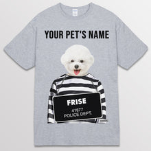 이미지를 갤러리 뷰어에 로드 , spogray