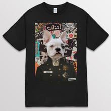 이미지를 갤러리 뷰어에 로드 , black