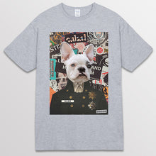 이미지를 갤러리 뷰어에 로드 , spogray