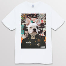 이미지를 갤러리 뷰어에 로드 , white