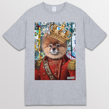 이미지를 갤러리 뷰어에 로드 , spogray