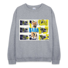 이미지를 갤러리 뷰어에 로드 , spogray