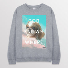 이미지를 갤러리 뷰어에 로드 , spogray