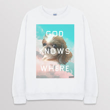 이미지를 갤러리 뷰어에 로드 , white