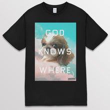 이미지를 갤러리 뷰어에 로드 , black