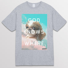 이미지를 갤러리 뷰어에 로드 , spogray