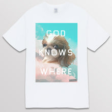 이미지를 갤러리 뷰어에 로드 , white