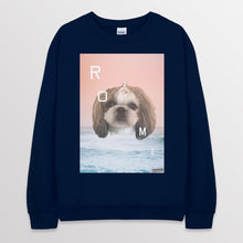 이미지를 갤러리 뷰어에 로드 , navy