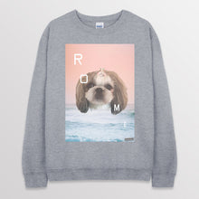 이미지를 갤러리 뷰어에 로드 , spogray