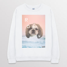 이미지를 갤러리 뷰어에 로드 , white