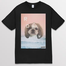 이미지를 갤러리 뷰어에 로드 , black