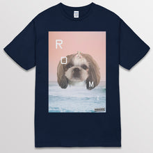 이미지를 갤러리 뷰어에 로드 , navy