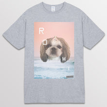 이미지를 갤러리 뷰어에 로드 , spogray