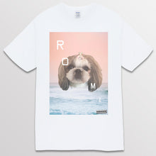 이미지를 갤러리 뷰어에 로드 , white