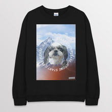 이미지를 갤러리 뷰어에 로드 , black