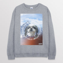 이미지를 갤러리 뷰어에 로드 , spogray