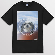 이미지를 갤러리 뷰어에 로드 , black