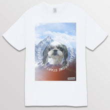 이미지를 갤러리 뷰어에 로드 , white