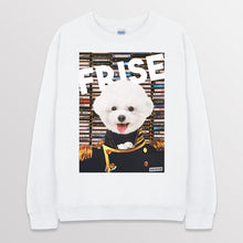 이미지를 갤러리 뷰어에 로드 , white