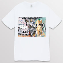 이미지를 갤러리 뷰어에 로드 , white