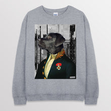 이미지를 갤러리 뷰어에 로드 , spogray