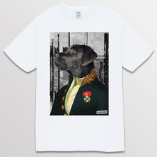 이미지를 갤러리 뷰어에 로드 , white