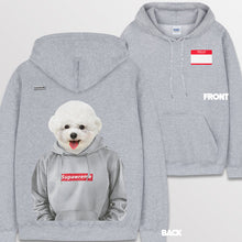 이미지를 갤러리 뷰어에 로드 , spogray